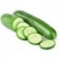 Concombre