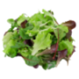 Salade